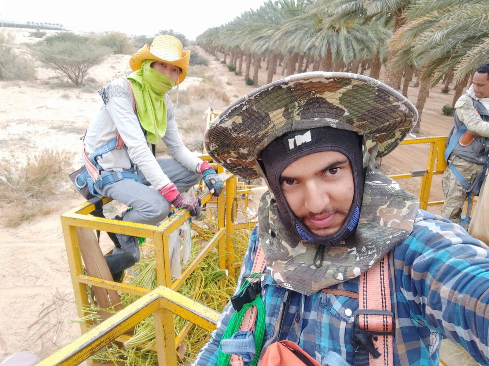 Rabin Paudel on a lift platform in a date-palm plantation